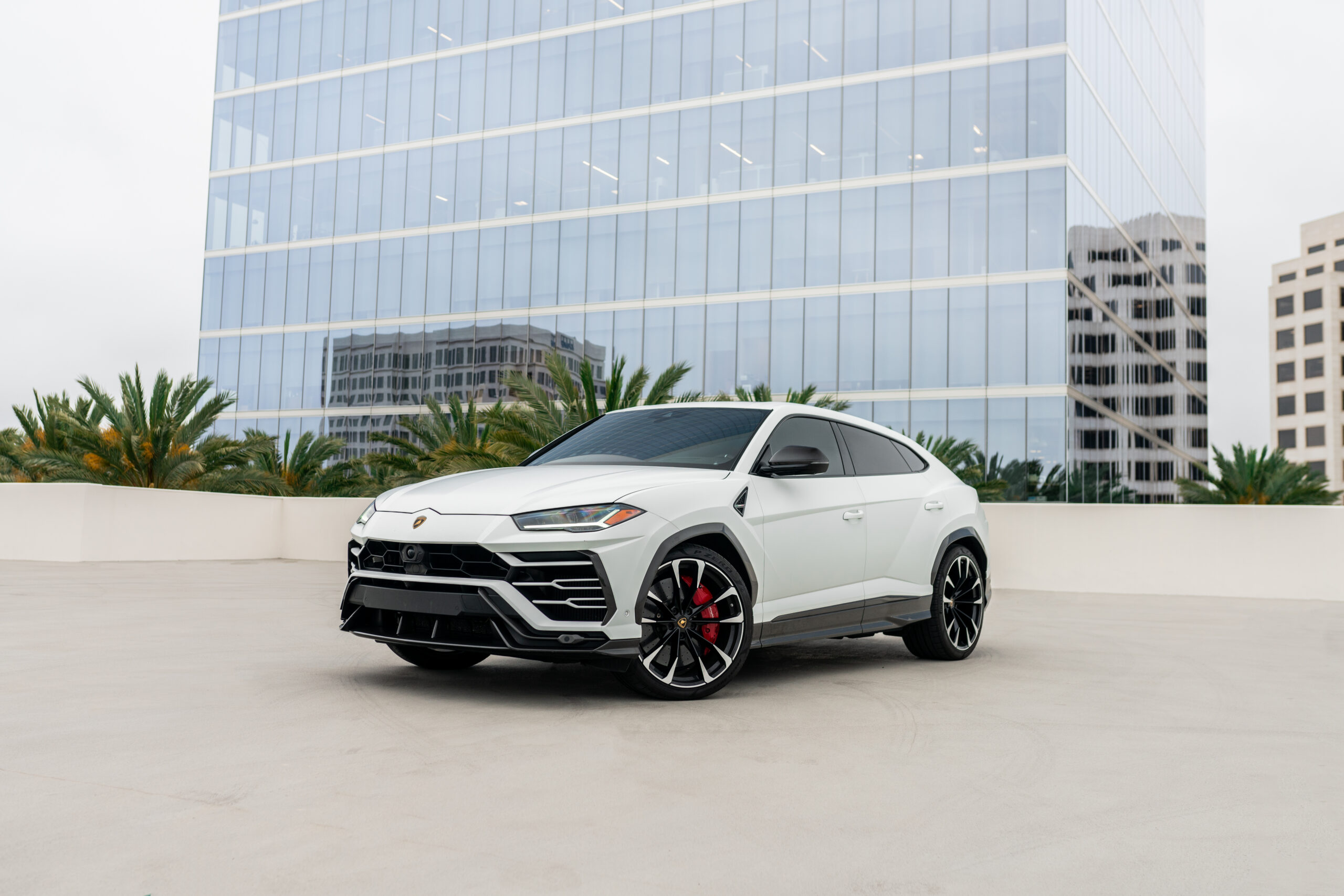 Matte White Urus