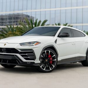 Matte White Urus